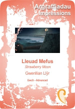 Llyr, Gwenllian - Strawberry Moon / Lleuad Mefus - harp