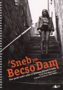 Sneb yn Becso Dam